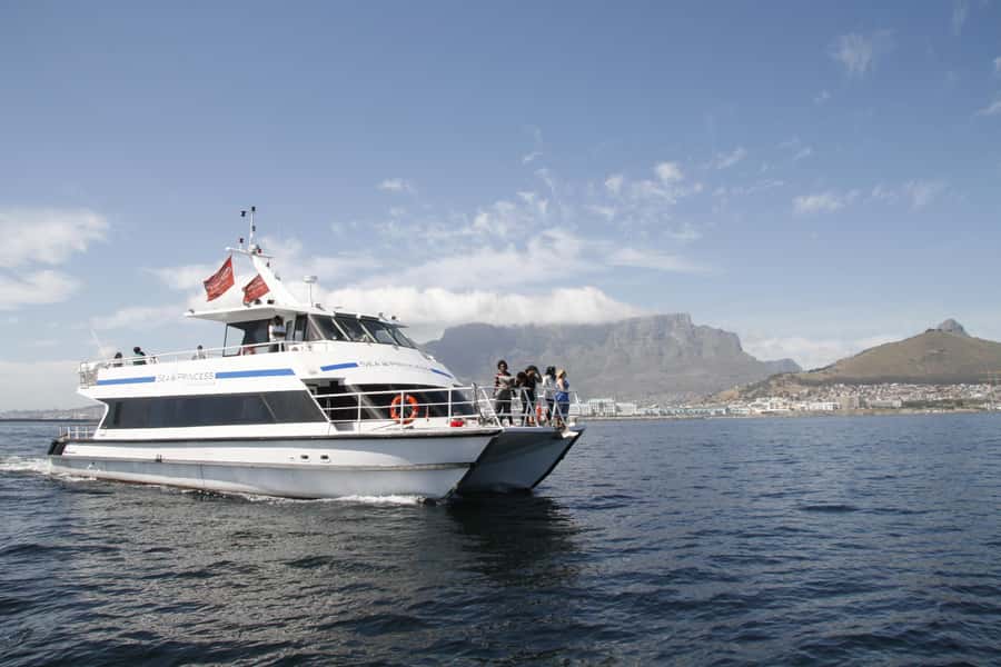 Cape Town: Sunset Champagne Cruise and 3-Course Dinner - Timing: how to build the night around sunset and departure