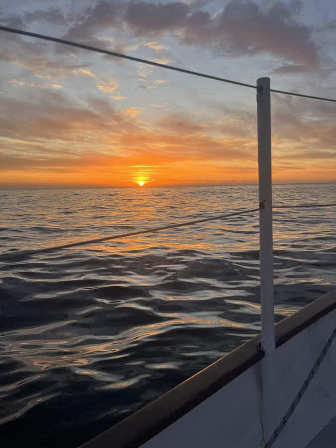 Cape Town: Sunset Cruise from V&A Waterfront with Bubbly - Bubbles included: value, alcohol rules, and the onboard vibe