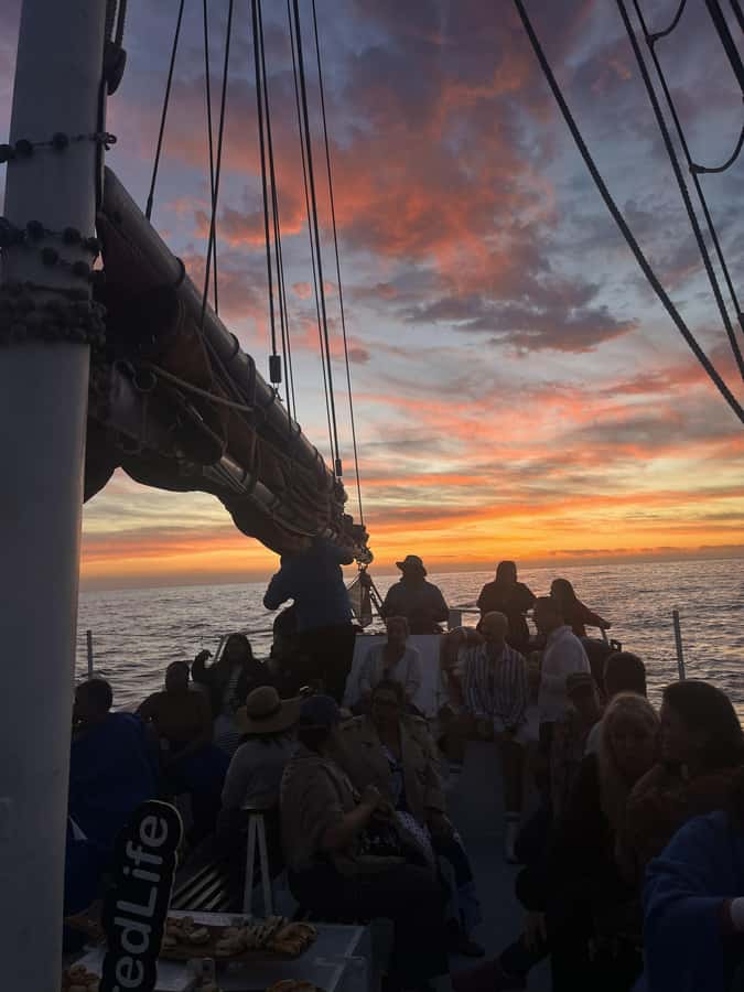Cape Town: Sunset Cruise from V&A Waterfront with Bubbly - Wildlife watch: dolphins, seals, and other Atlantic surprises