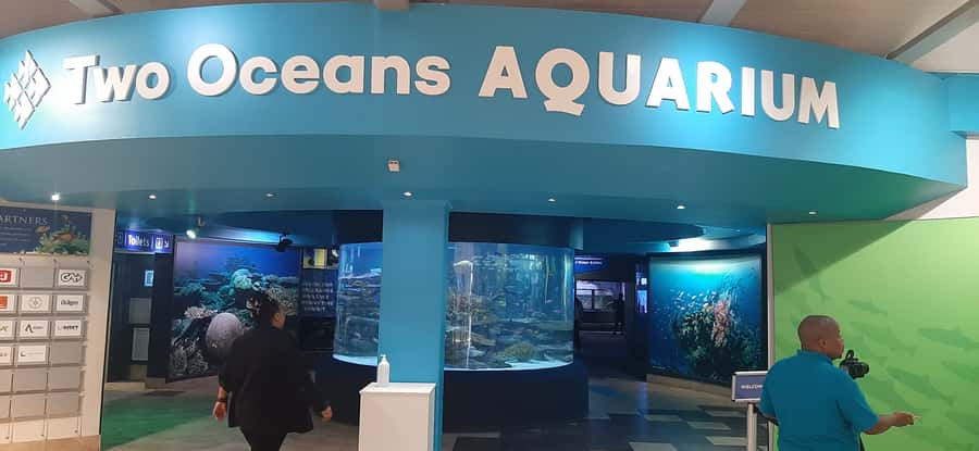 Cape Town: Table Mountain and Robben Island Tour - A smooth 8-hour framework with hotel pickup in Cape Town