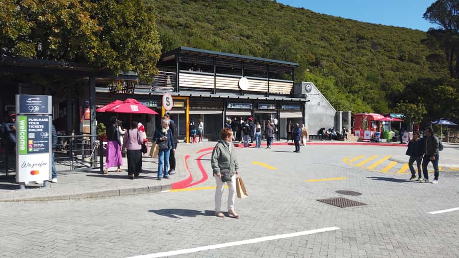 Cape Town: Table Mountain and Robben Island Tour - Tow Oceans Aquarium for penguins, sharks, and a reset