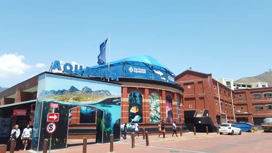 Cape Town: Table Mountain and Robben Island Tour - V&A Waterfront free time for shopping and a real meal break