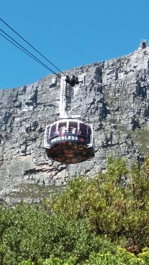 Cape Town: Table Mountain Cable Car Ticket - Sunset planning: timing your summit visit for that last glow