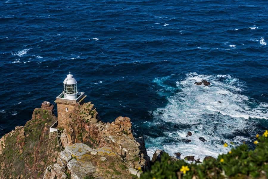 Cape Town: Table Mountain & Cape of Good Hope Full-Day Tour - Chapman’s Peak Drive Stop: The Best Type of Photo Break