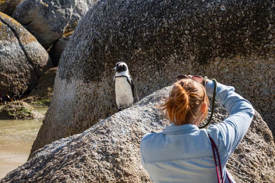 Cape Town: Table Mountain & Cape of Good Hope Full-Day Tour - Morning Pickup: When Your Day Starts, Not When You Finally Locate Parking