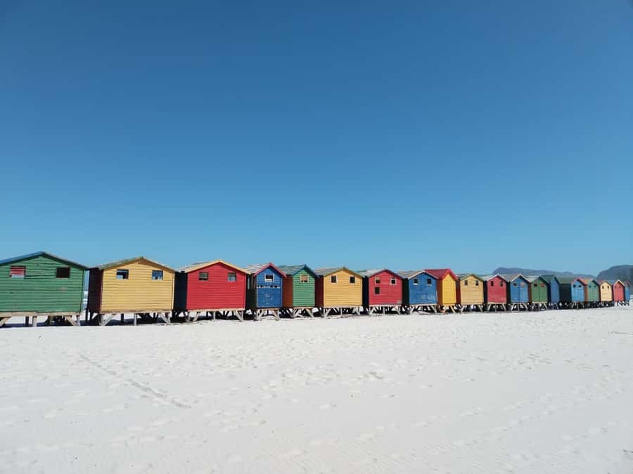 Cape Town: Table Mountain, Cape Point, & Penguins Group Tour - Group Comfort, Timing, and Weather Reality
