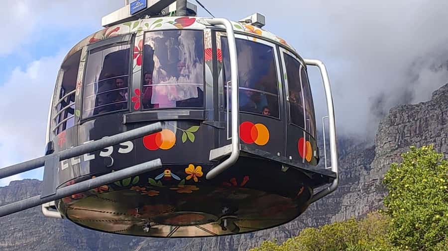 Cape Town: Table Mountain, Cape Point, & Penguins Group Tour - A Peninsula Day Packed With Iconic Views