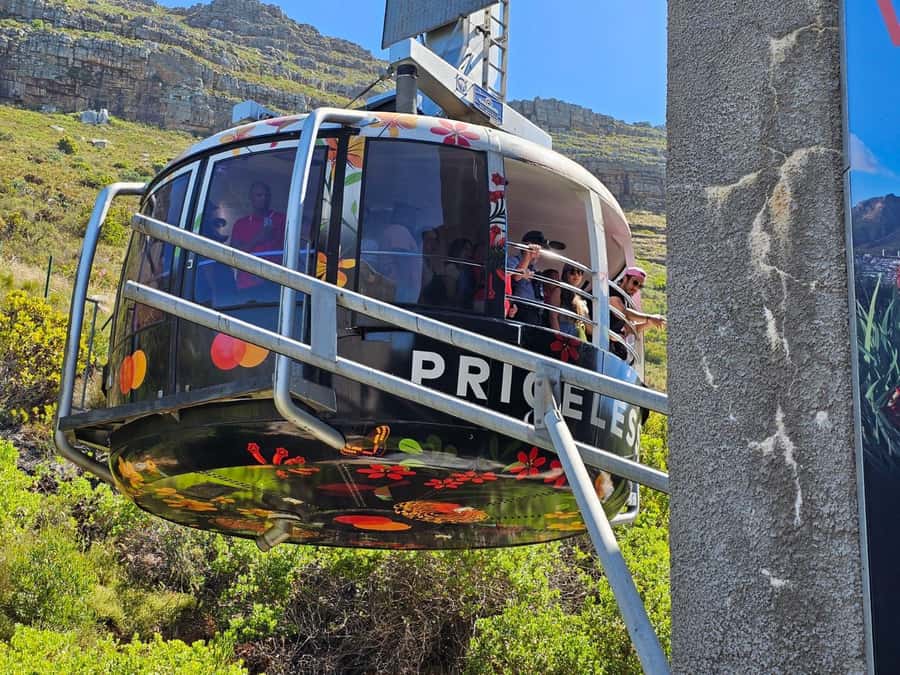 Cape Town: Table Mountain, Cape Point, & Penguins Group Tour - Morning at Table Mountain: Cable Car Timing and Big-Air Views