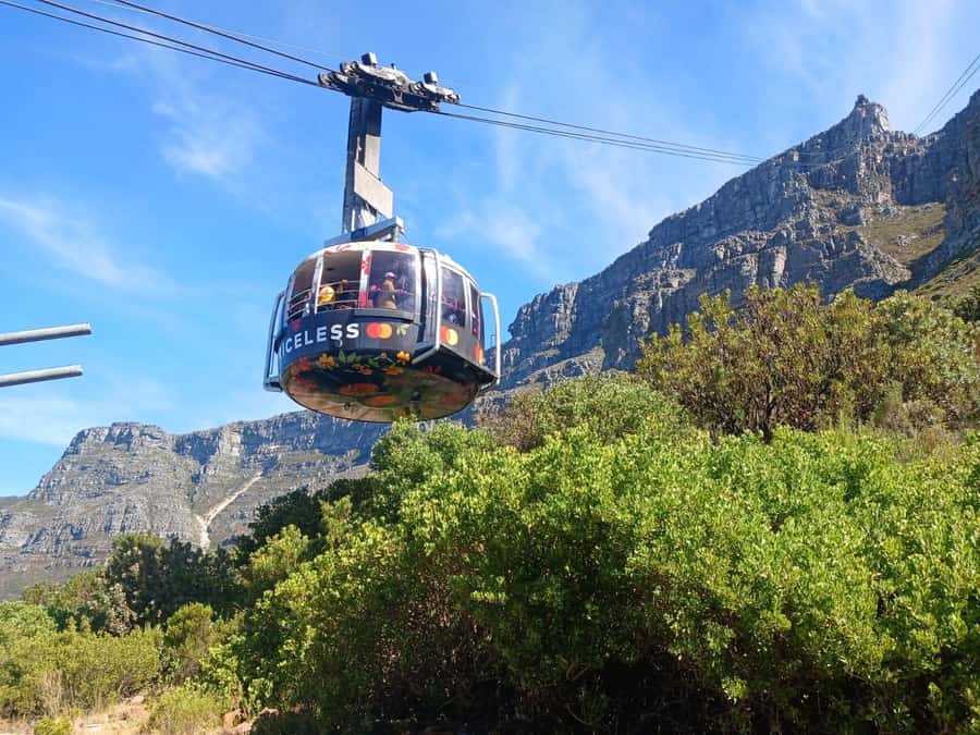 Cape Town: Table Mountain, Cape Point, & Penguins Group Tour - Ostrich Farm Stop and Cape Point Setup