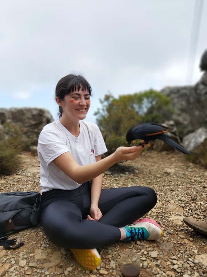 Cape Town: Table Mountain Hike with an Expert Guide - How the guide’s Fynbos lesson changes your hike