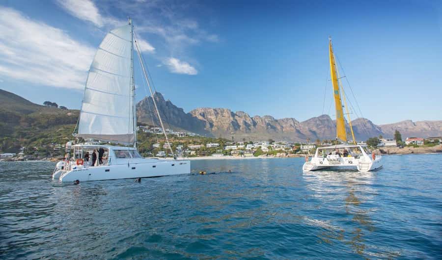 Cape Town: V&A Waterfront Gin Voyage Cruise - Getting to IQ Catamaran at the V&A Waterfront North Wharf