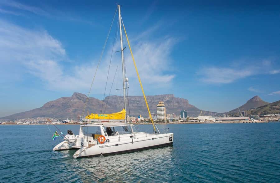 Cape Town: V&A Waterfront Gin Voyage Cruise - Who This Gin Voyage Suits Best