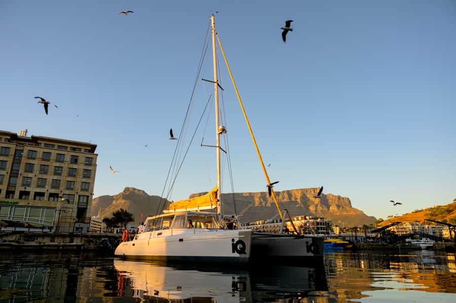 Cape Town: V&A Waterfront Gin Voyage Cruise - The 1-Hour Cruise Timing: Short Enough to Fit, Long Enough to Enjoy