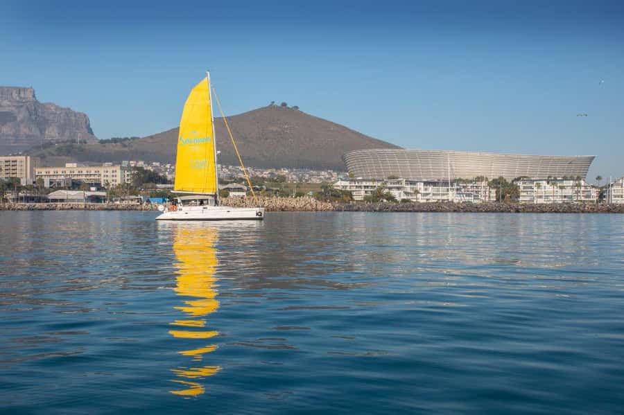 Cape Town: V&A Waterfront Gin Voyage Cruise - Wildlife Chances: Seals, Dolphins, Penguins, and Even Whales