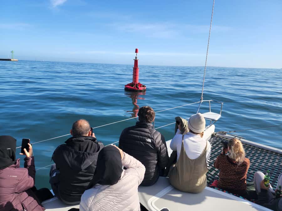 Cape Town: V&A Waterfront Gin Voyage Cruise - Price and Value: Why $37 for One Hour Can Be a Fair Trade