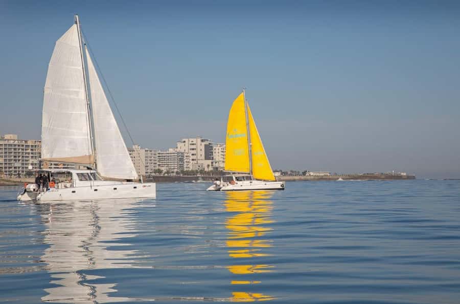 Cape Town: V&A Waterfront Gin Voyage Cruise - What You’re Allowed to Bring (and What You Should Skip)