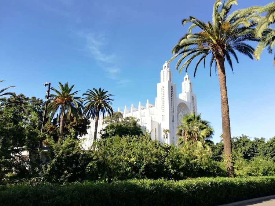 Casablanca Full-Day City Tour with round-trip hotel transfer - Hassan II Mosque: your best first photo moment