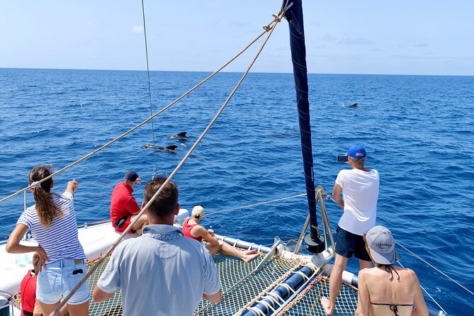 Catamaran Half Day - Beautiful day on the Atlantic Ocean - Three Hours Off Santa Maria: How the Timing Really Feels