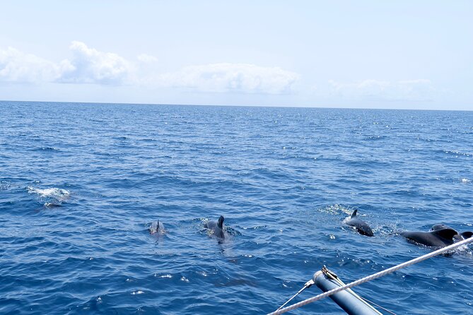 Catamaran Half Day - Beautiful day on the Atlantic Ocean - Onboard Comfort: Drinks, Snacks, and Wi‑Fi That Actually Help