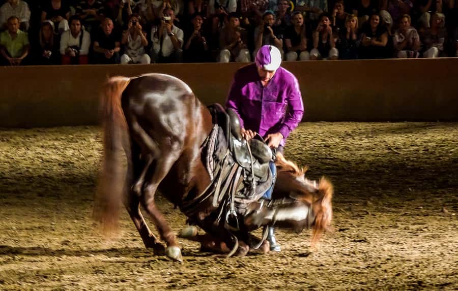 Chez Ali Dinner & Horsemen Show From Marrakech - Getting from Marrakech to the Palmerie show arena