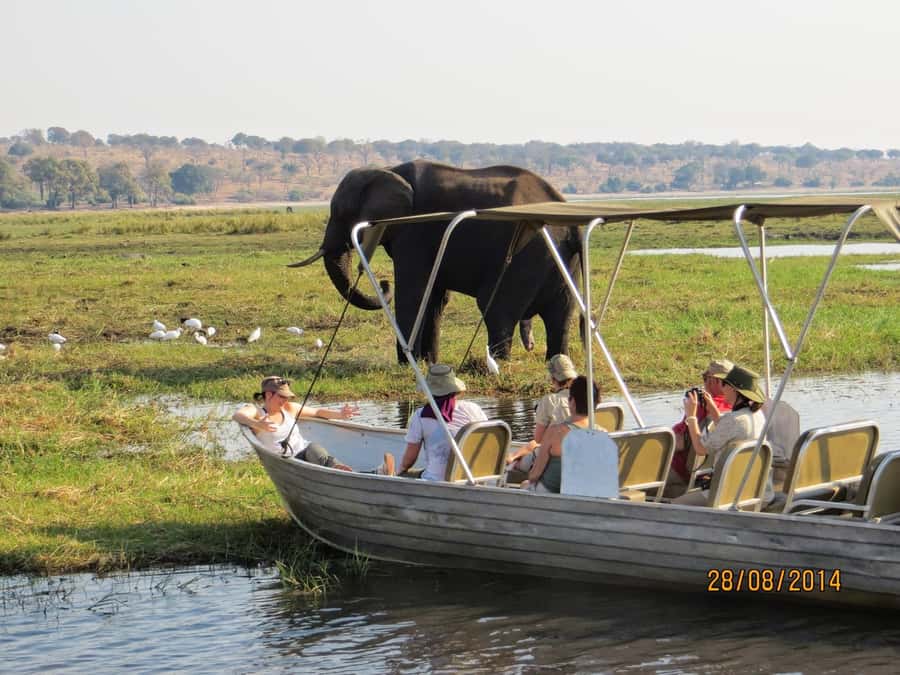 Chobe Day Trip from Victoria Falls, Zimbabwe - Key things to know before you go