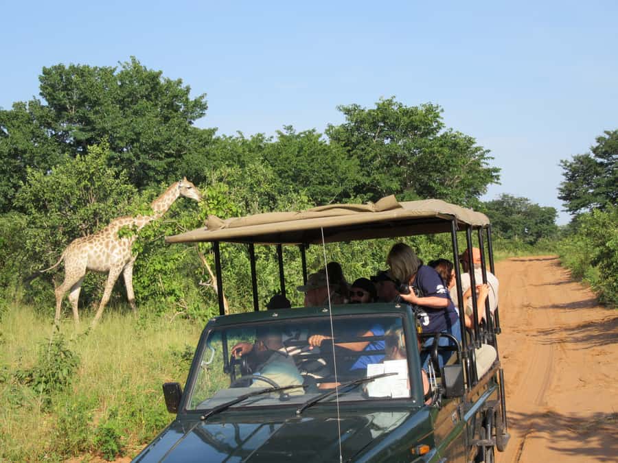 Chobe Day Trip from Victoria Falls, Zimbabwe - Chobe River cruise and game drive in one day