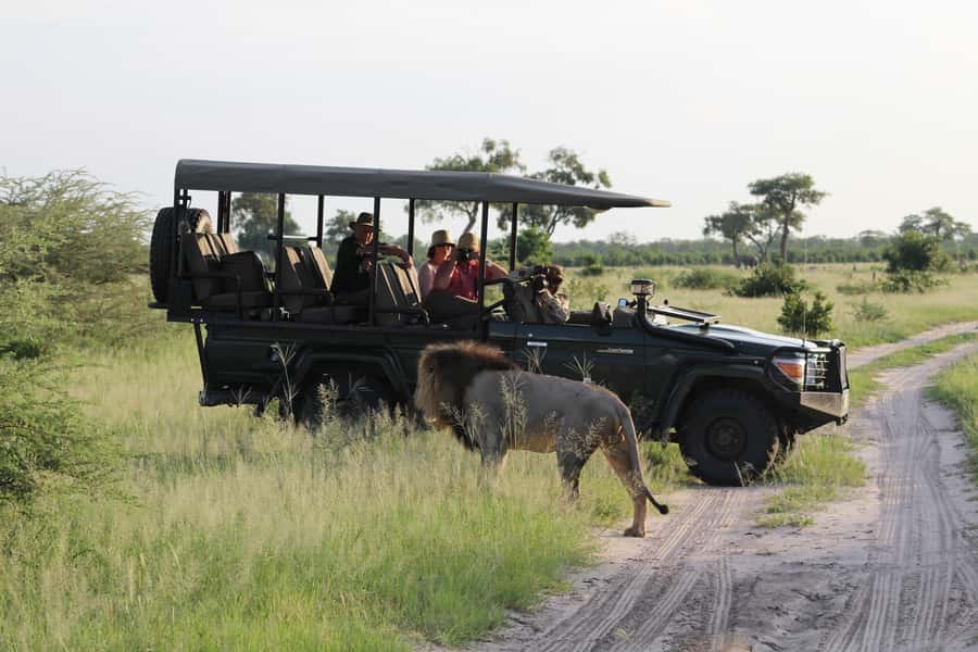 Chobe Day Trip from Victoria Falls, Zimbabwe - Chobe River cruise: elephants, hippos, and crocodiles from the water