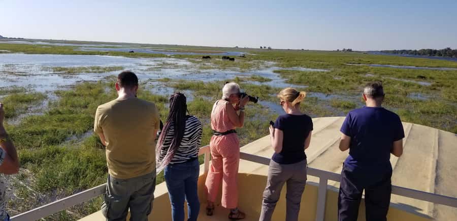 Chobe Day Trip from Victoria Falls, Zimbabwe - Chobe National Park game drive: the predator hunt on open safari roads