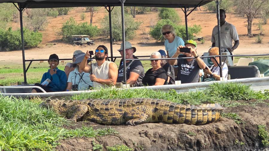 Chobe Day Trip from Victoria Falls, Zimbabwe - The Victoria Falls to Kazungula route (and why timing matters)