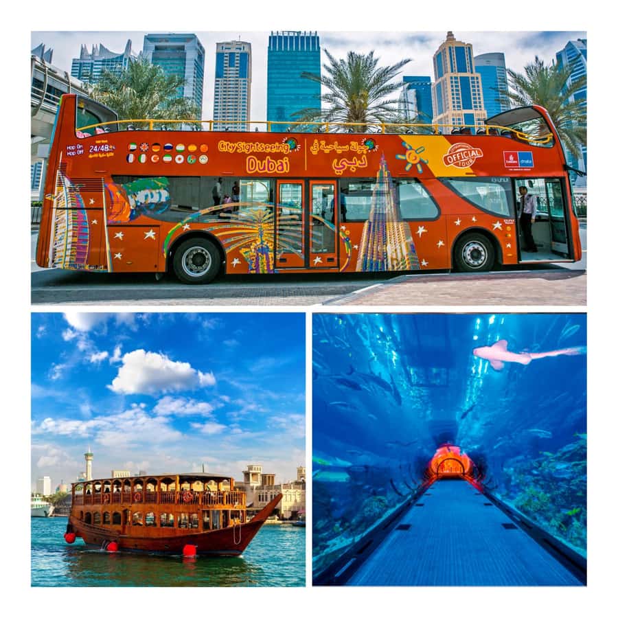 City Sightseeing Dubai Hop-On Hop-Off Bus Tour & Dhow Cruise - Blue Route: Marina views, Atlantis stop, and the Lost World Aquarium bonus