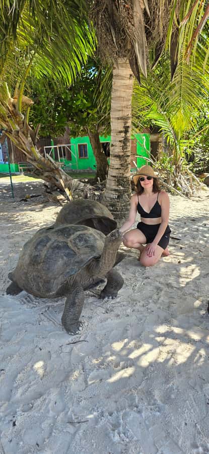Curieuse and St. Pierre Islands Day Trip with BBQ Lunch - Key Things I’d Put on Your Radar