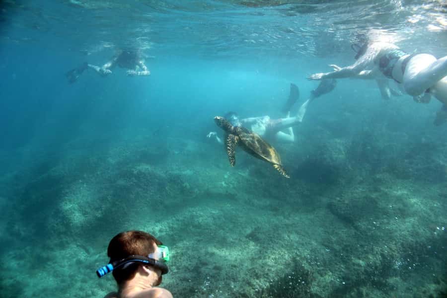 Curieuse Guided Tour, St Pierre, BBQ & 2 Snorkel Stops - Curieuse beach time before the island walk