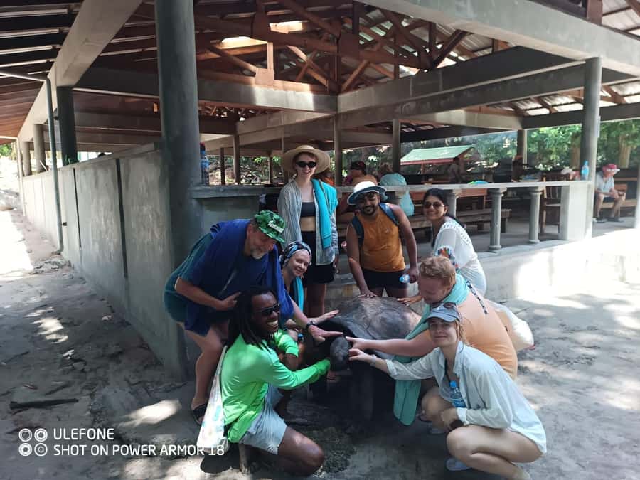 Curieuse Guided Tour, St Pierre, BBQ & 2 Snorkel Stops - Giant tortoises: the moment the day turns memorable