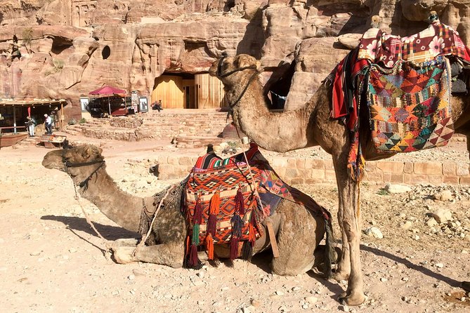 Day Tour to Petra from Eilat - Price and value: is $219 a fair deal for a day trip?