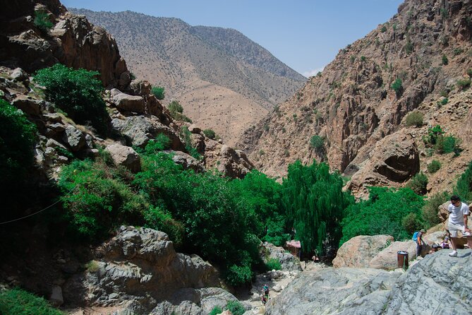 Day trip - Atlas Mountains Ourika Valley Waterfall From Marrakech - Stop 3: Ourika Valley and the women’s argan oil cooperative
