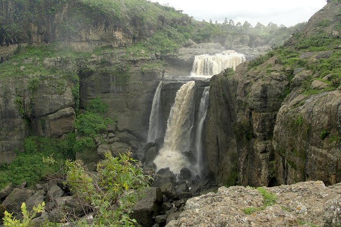 Day Trip From Addis Ababa See Historical Monastery,Stunning Nature,Animals,Birds - Ethiopian coffee ceremony, lunch, and the human side of the day