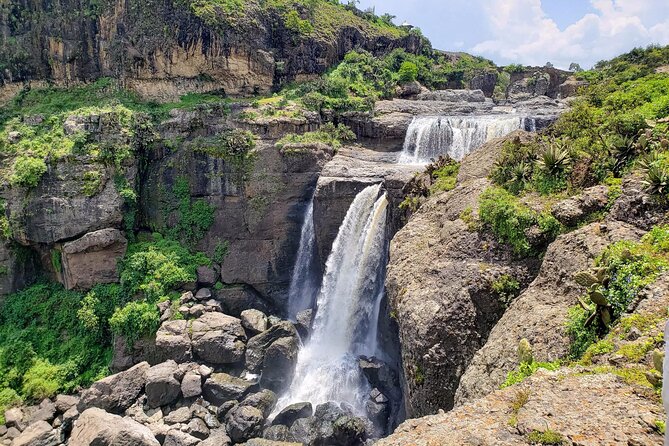 Day Trip From Addis Ababa See Historical Monastery,Stunning Nature,Animals,Birds - Price and value: $90 that includes the hard parts