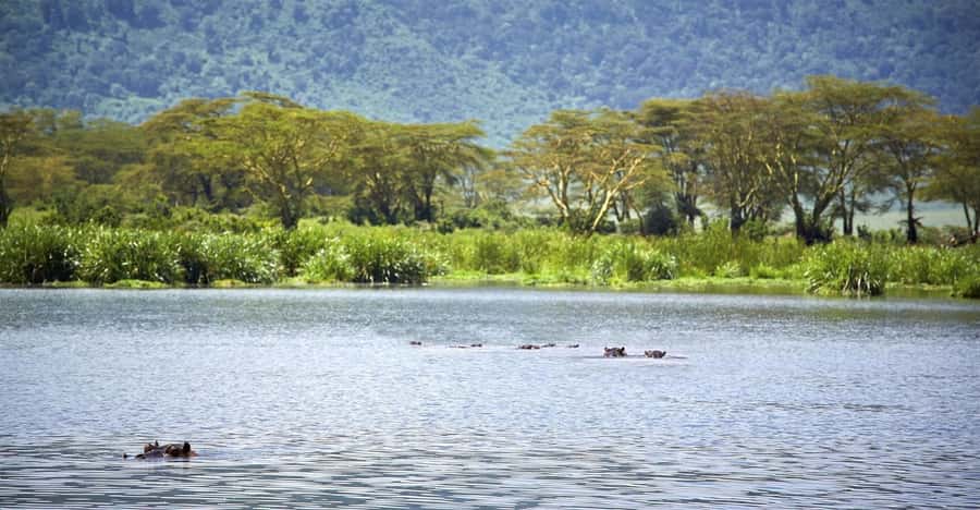Day Trip: Hell's Gate Bike Ride & Lake Naivasha Boat Ride - Hell’s Gate Gorge Walk: Steam Vents, Narrow Corridors, and Fischer’s Tower