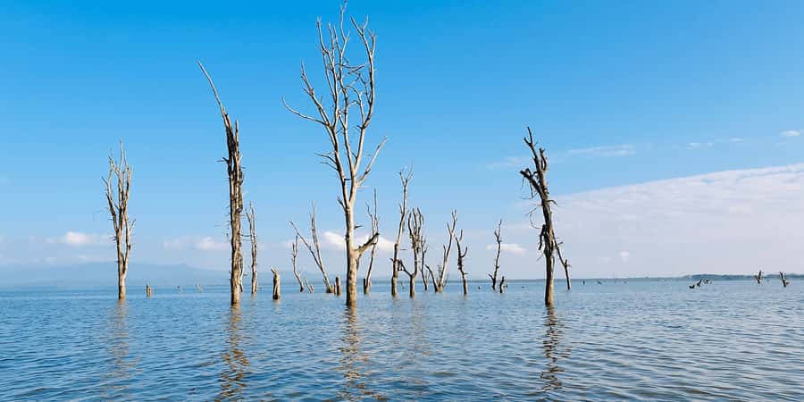 Day Trip: Hell's Gate Bike Ride & Lake Naivasha Boat Ride - Price and Payments: What the $34 Covers vs What You’ll Pay Separately