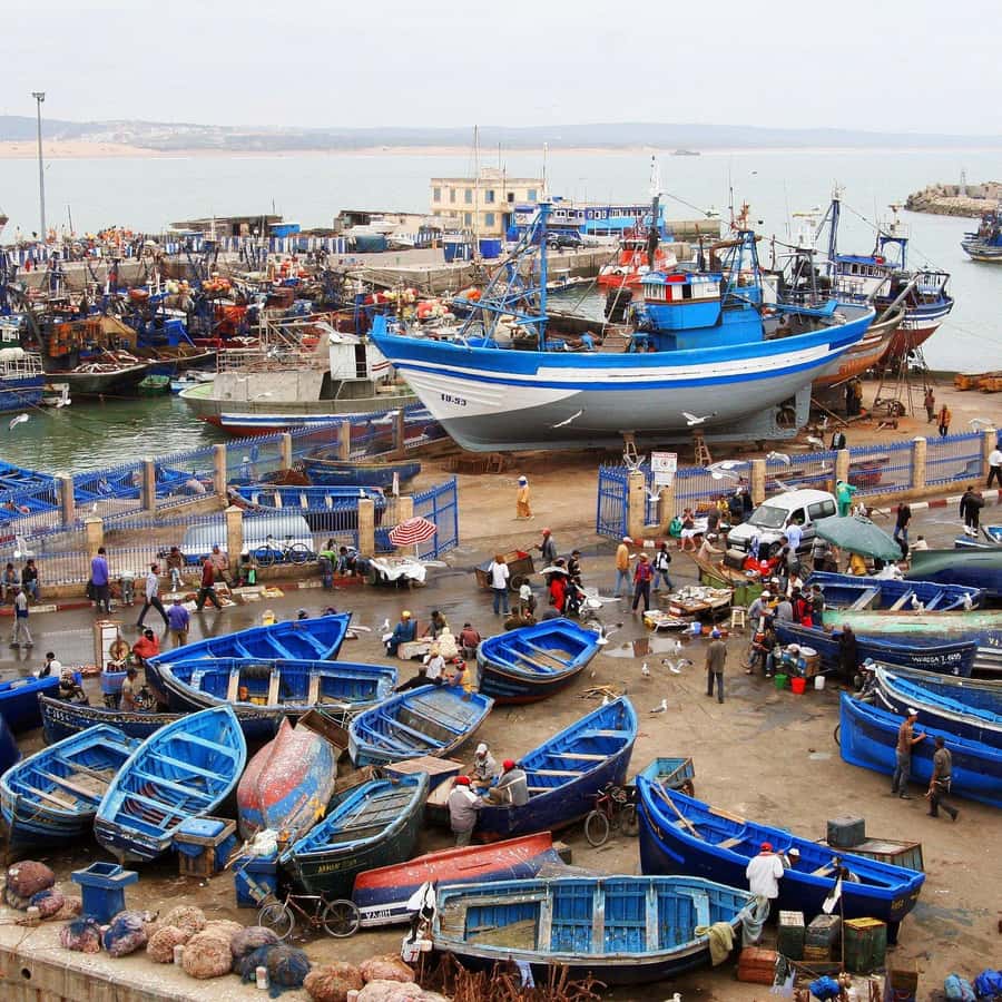 Day Trip To Essaouira From Marrakech With Guide - Chichaoua stop: a quick reset before the coast
