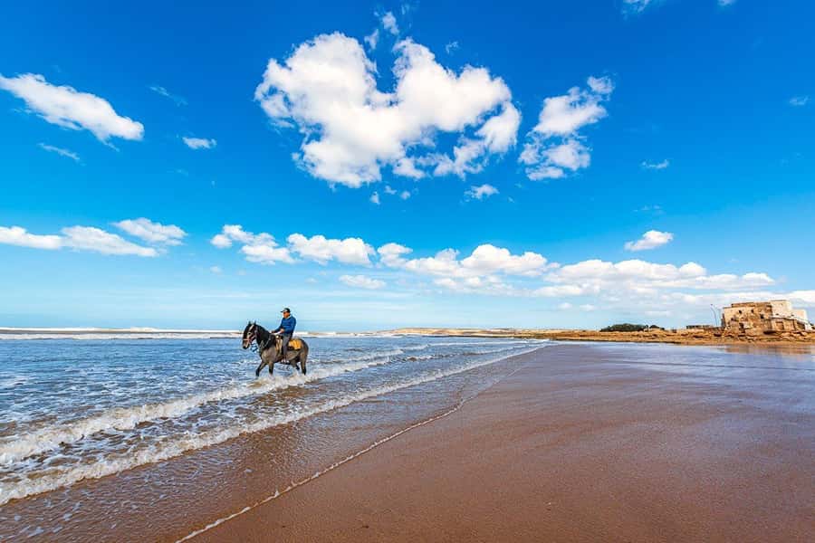 Day Trip To Essaouira From Marrakech With Guide - Mellah and souks: how to use your guided time well