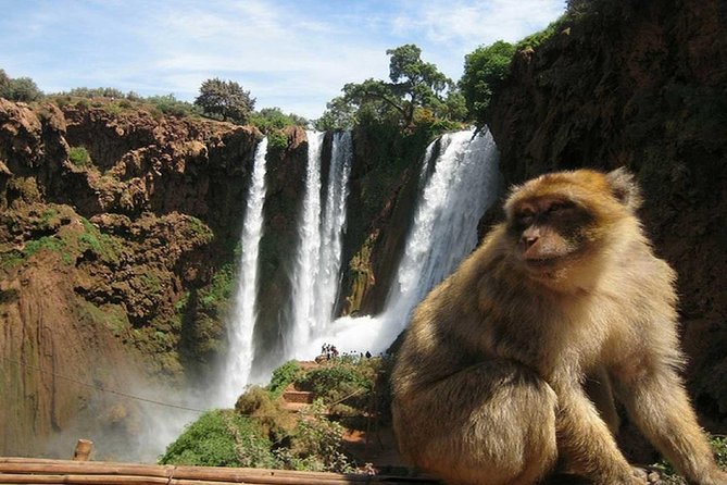 Day Trip To Ouzoud Waterfalls (Guide Hike & Boat are options) - Group dynamics and guide quality: how the day feels in practice