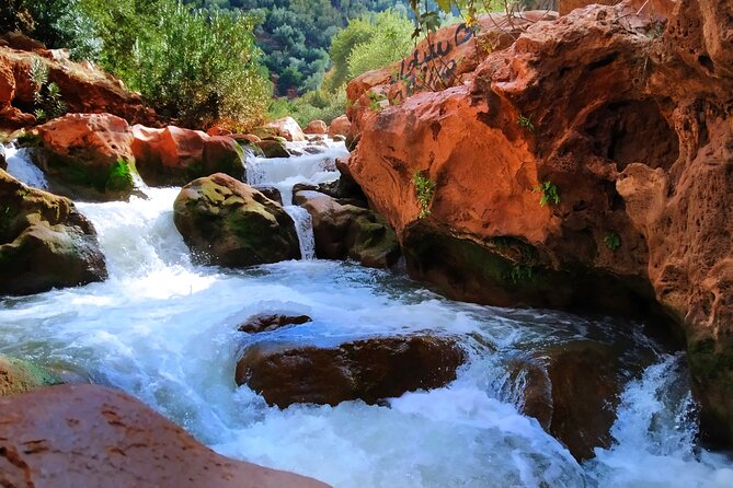 Day Trip to Ouzoud Waterfalls with Guide and Boat Trip - Why Ouzoud Waterfalls are a standout day trip from Marrakech