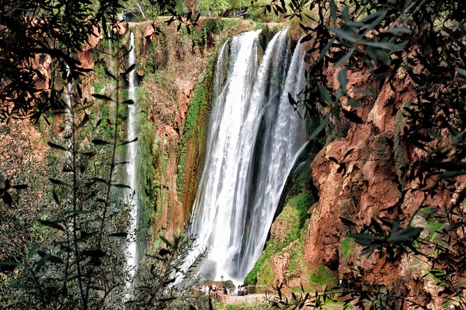 Day Trip to Ouzoud Waterfalls with Guide and Boat Trip - Price and value: is $23.26 fair for a 12-hour day?