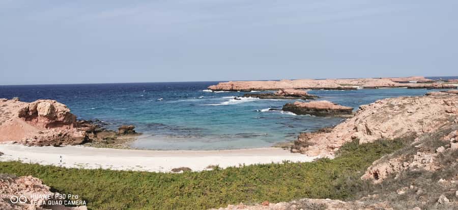 Daymaniyat Island: Snorkelling Tour with Tasty Lunch - Guides that actually help you look: Arif, John, and Papu
