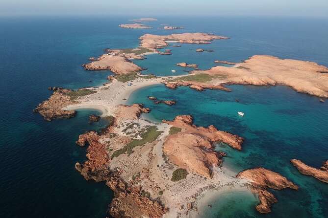 Daymaniyat Islands Snorkeling Sharing Trip - Key highlights that make this trip worth it