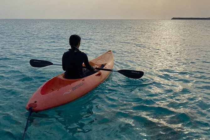 Daymaniyat Islands Snorkeling Sharing Trip - Daymaniyat Islands by boat: what you’re really paying for