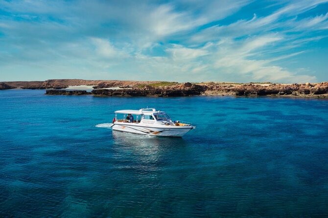 Daymaniyat Islands Snorkeling Sharing Trip - Coral reefs, clear water, and how to snorkel smarter