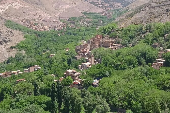 De Marrakech: Visite des montagnes de l'Atlas avec un guide - Azrou + argan oil cooperative: the food stop with real purpose