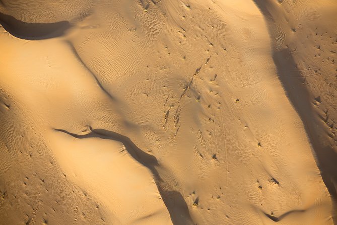 Deluxe Hot Air Balloon Ride with Breakfast & Flight Falcon Show - Bedouin camp breakfast and what you’ll do on the ground